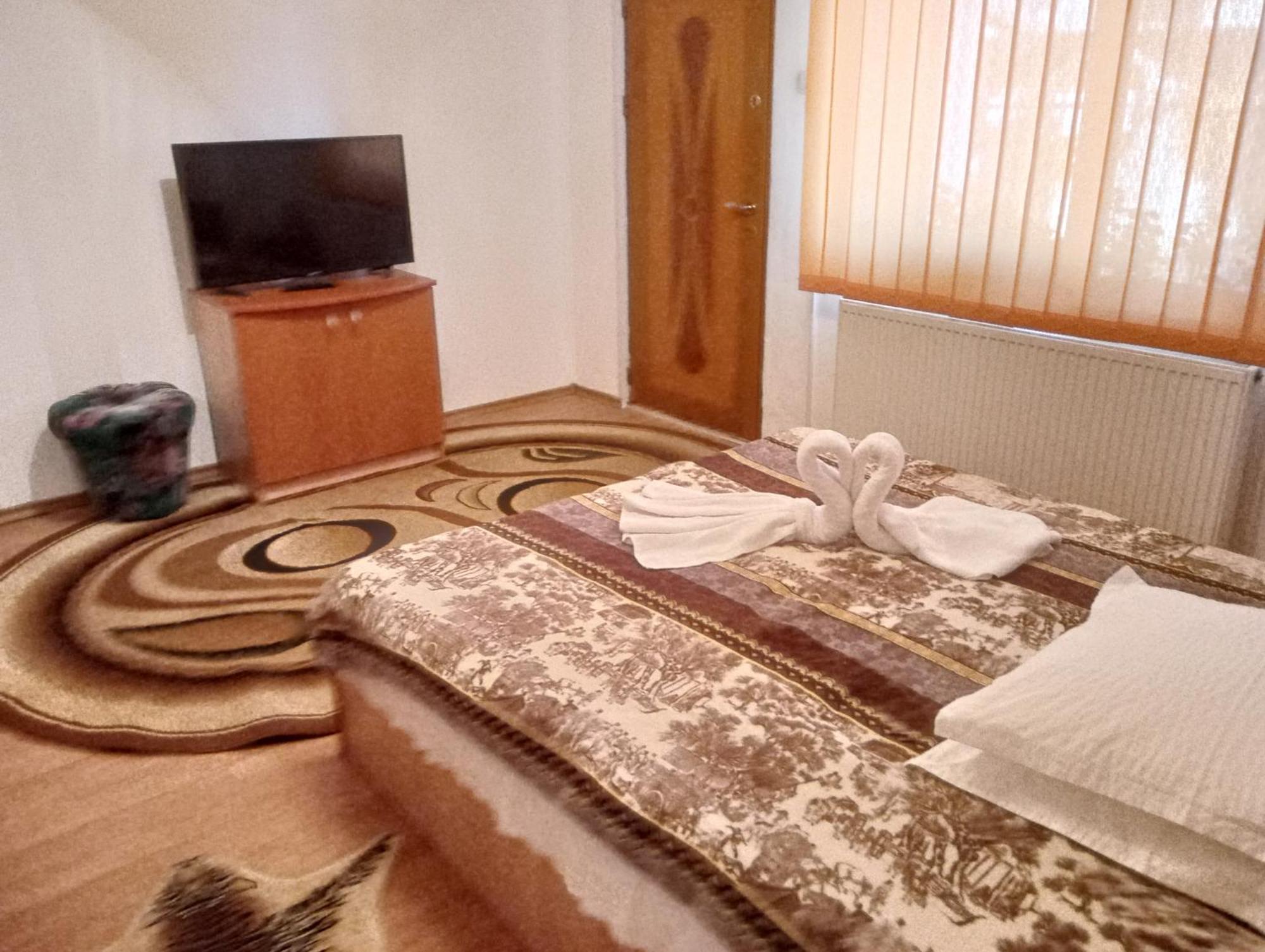Pensiunea Irina 1 Si 2 Zărneşti Zewnętrze zdjęcie