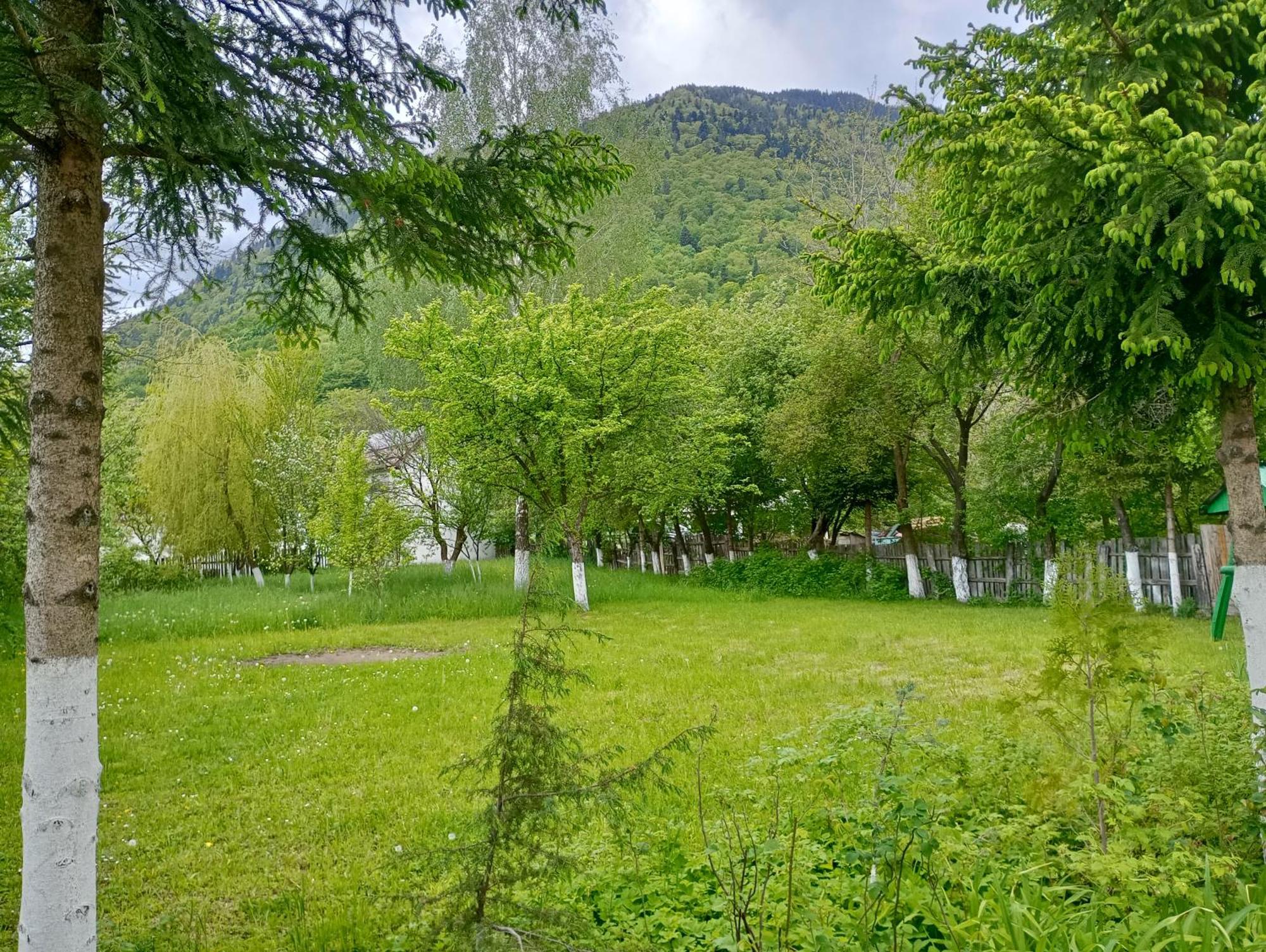 Pensiunea Irina 1 Si 2 Zărneşti Zewnętrze zdjęcie